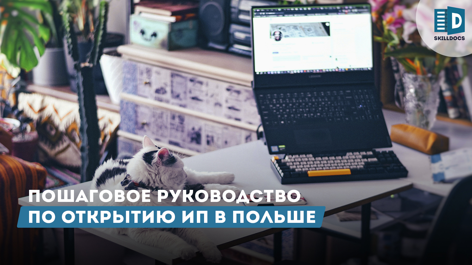 KAK-otkrit-ip-v-polshe