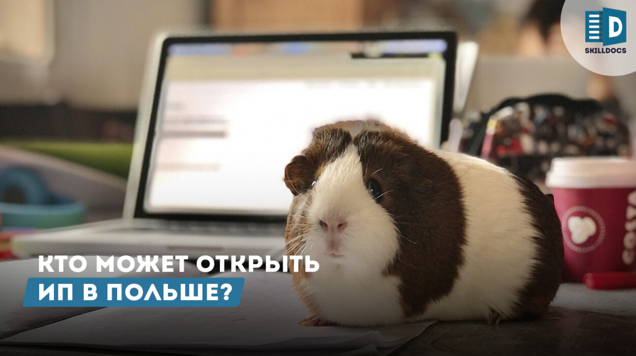 otkrit-ip-v-polshe
