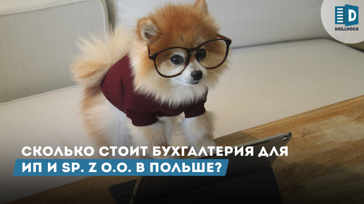 skolko-stoit-buhgalteria-v-polshe