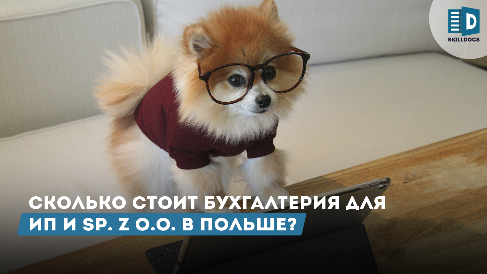 skolko-stoit-buhgalteria-v-polshe